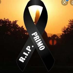 Meet your Posher, Norma